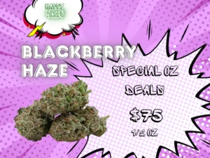 BC Blackberry Haze 38% THC | Exotic LSO | Sativa - 3.5g