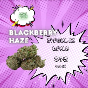 Blackberry Haze for sale