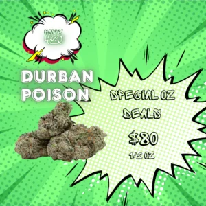 BC Durban Poison 38% THC | Exotic LSO | Sativa - 3.5g