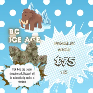 BC Ice Age 38% THC | Exotic LSO | Hybrid - 7g